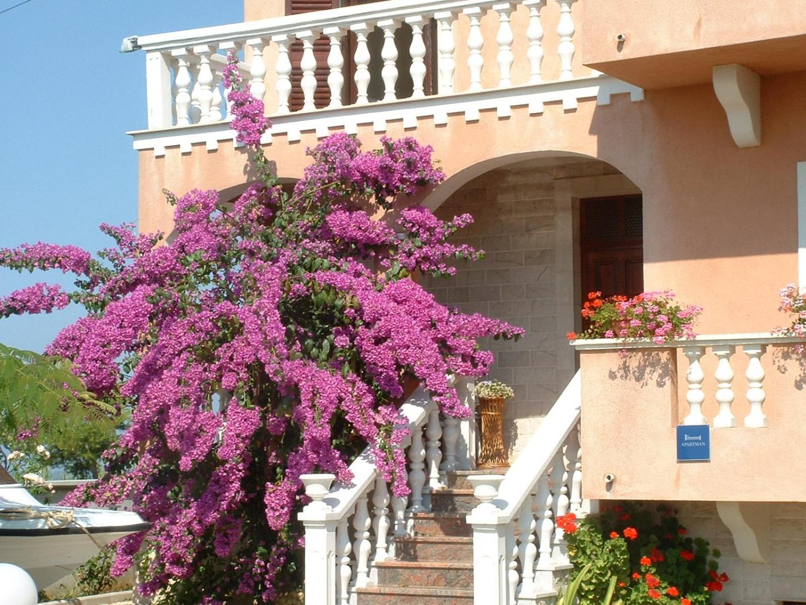 פריבלאקה Apartment Valerija מראה חיצוני תמונה